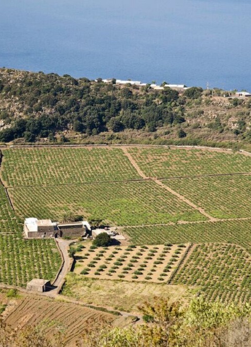 Pantelleria Kazzen